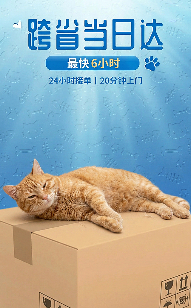 在快递箱上添加一只慵懒躺着的橘色猫咪，猫咪神态放松，和画面风格适配