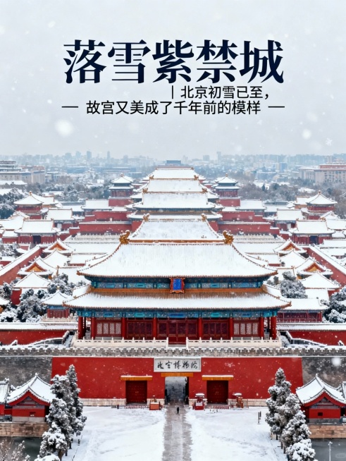 生成故宫下雪了的10张小红书配图和1张封面图，结合文案：落雪紫禁城｜北京初雪已至，故宫又美成了千年前的模样
文案
北京终于下雪啦❄️当雪花落在故宫的檐角、红墙、汉白玉台基上，朱红与雪白撞出的，是独属于预览效果