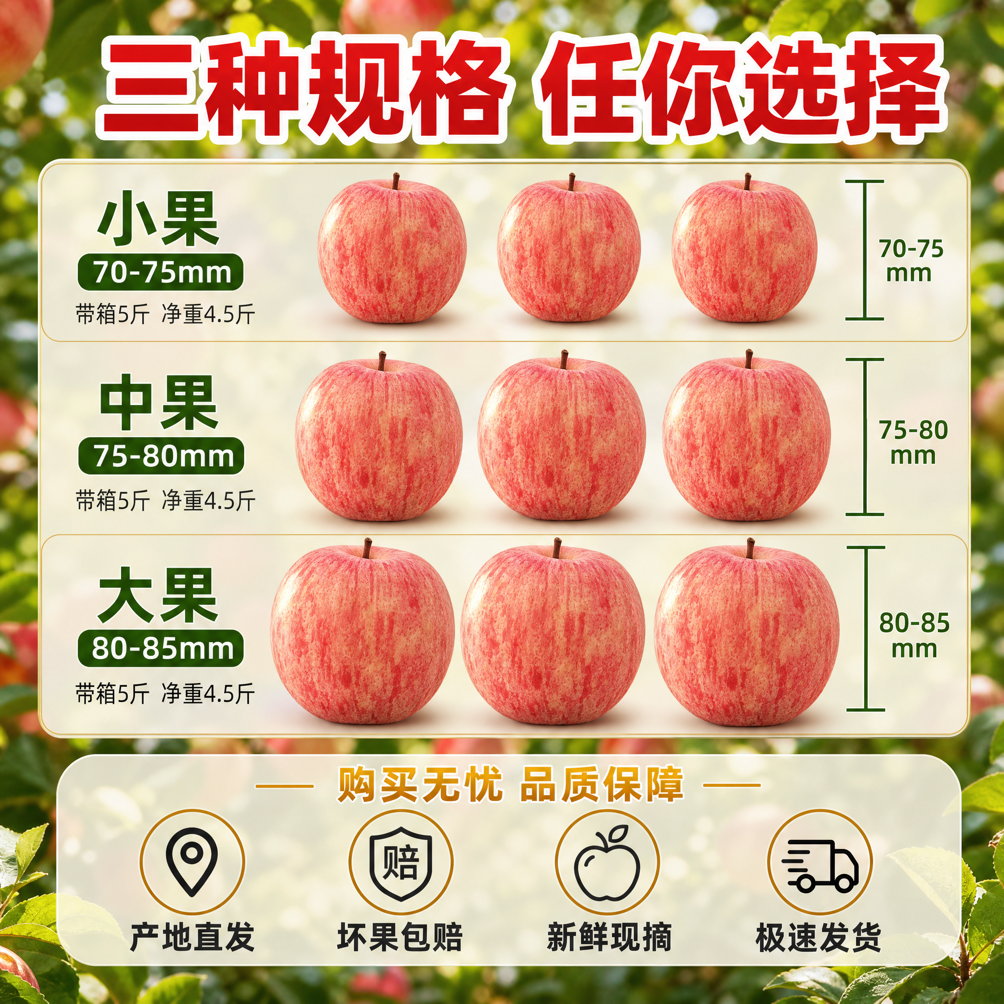 [主图-5] SKU规格与服务，主题：三种规格可选 坏果包赔。… - 图片创意预览