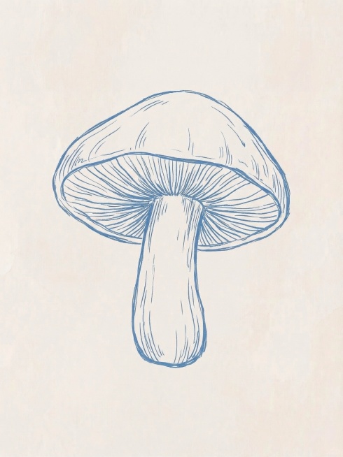 保持和原海报一致的简约蓝色线稿手绘风格，米色背景，单独生成一个蘑菇图案，保留手绘笔触质感，和原图风格完全一致预览效果