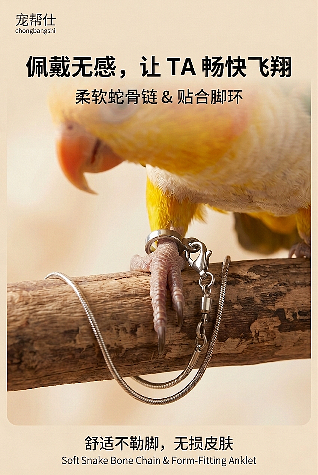 修改鹦鹉脚部，将图二右侧的金属连接环替换到原图鹦鹉脚环的连接位置，保持鹦鹉、站杆、整体画面风格、文案和布局不变，只修改脚部连接处的金属配件细节