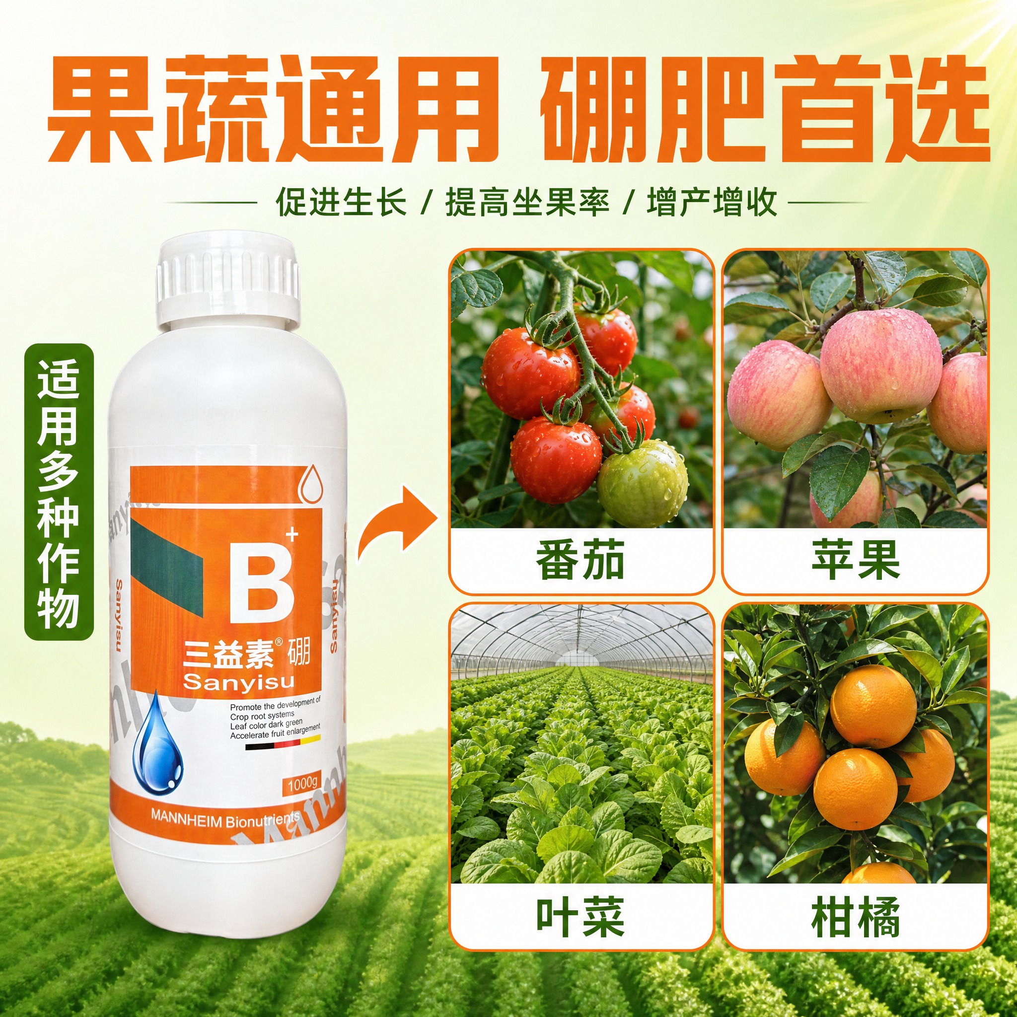 [主图-3] 适用作物广 果蔬通用场景宫格图 [统一基调] 拼… - 图片创意预览