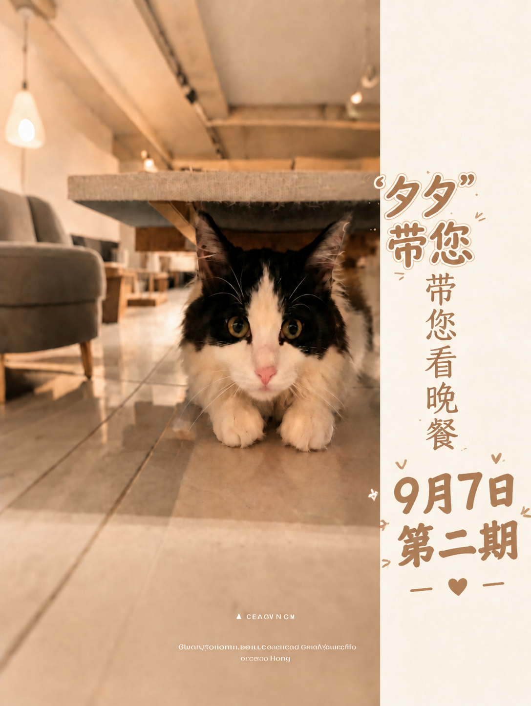 将图片右侧白色区域中"9月7日 第二期"的文字放大，字号明显增… - 图片创意预览