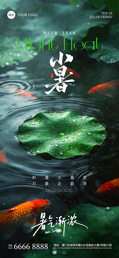 小暑节气写实高级国风摄影暗调静谧荷塘锦鲤祝福全屏竖版海报