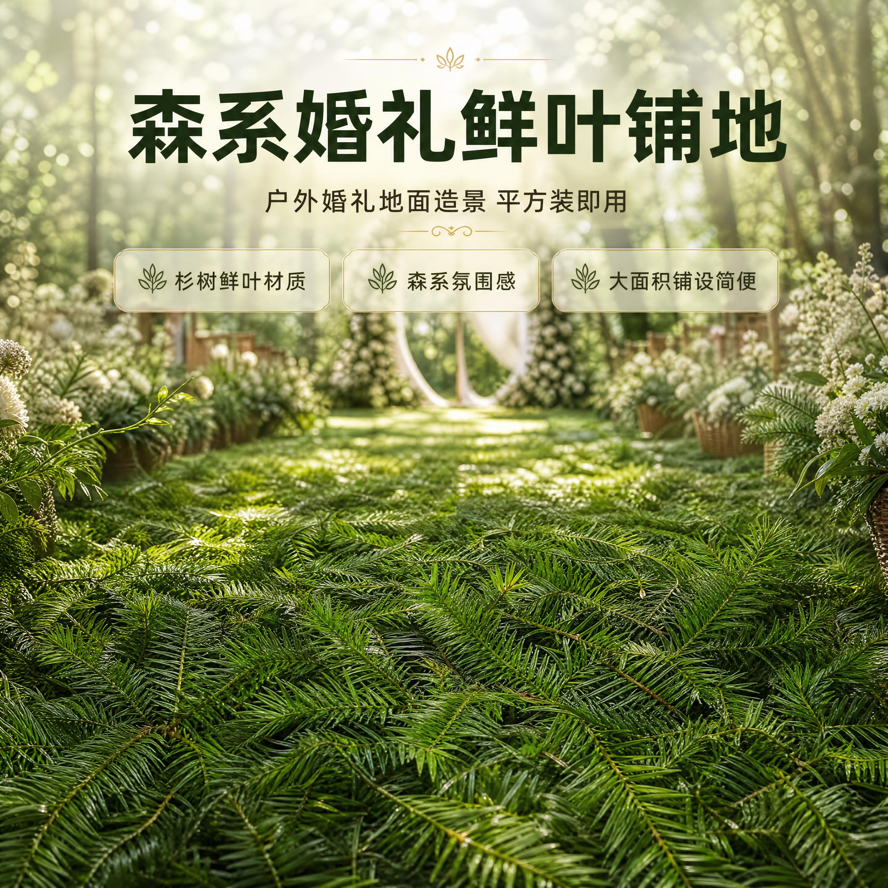 [商品] 使用【图1】【图4】新鲜杉树叶平方装；保留杉树鲜叶的… - 图片创意预览