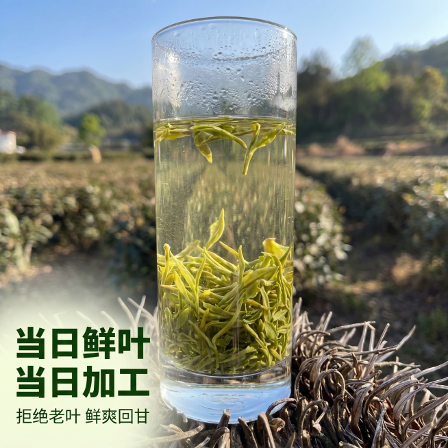 [主图 3] 冲泡后茶叶展示图，乡野自然风格，突出当天加工保留天然营养鲜爽口感卖点。[氛围风格]清新自然乡野户外，通透干净，突出茶汤清澈茶叶鲜嫩，展现鲜爽口感。[画质]商业摄影质感，光线柔和通透，茶叶预览效果