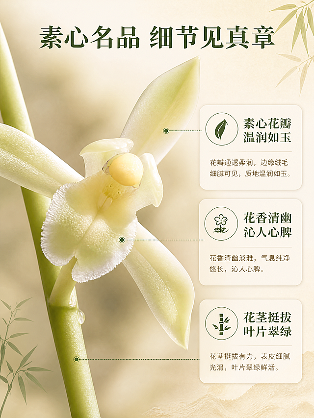 [商品] 使用【图1】白玉素兰花；保留奶白偏黄绿素心花瓣、黄色花蕊、长绿花茎的真实结构与颜色；微距放大花瓣纹理、花蕊细节和花茎质感，增强通透度与细腻度。
[画面] 第3张·细节质感页；目标：微距展示品种纯正与养护精良；构图为左侧大特写+右侧信息卡；左侧占画面65%，白玉素兰花花朵微距特写，花瓣边缘绒毛质感清晰，花蕊温润如玉，花茎表面细腻纹理可见；右侧为竖向排列的3个细节说明卡。
[视觉] 套系策略：风格=东方雅致新中式商业摄影；标题字=宋体衬线粗体；正文字=简洁无衬线体；主色=米白暖杏；背景延展=基于米白暖杏做深浅层级、同色渐变和宣纸/哑光质感；强调色=墨绿，仅用于小面积图标、引线和标签；标题色=深墨绿；正文色=暖灰棕；组件=圆角浅底信息卡、细线引线、竹叶装饰元素；光影=左前侧暖柔光，侧光突出花瓣层次。
[文字] 顶部主标题"素心名品 细节见真章"；右侧3个信息卡横排文字："素心花瓣 温润如玉"、"花香清幽 沁人心脾"、"花茎挺拔 叶片翠绿"；配细线引线指向对应部位；所有文字横排，字号保证手机端可读。
[规格] 图片比例3:4竖版，4K，medium质量；避免变形、错字、文字过小、冷蓝背景、花瓣颜色失真、出现二维码或平台Logo。