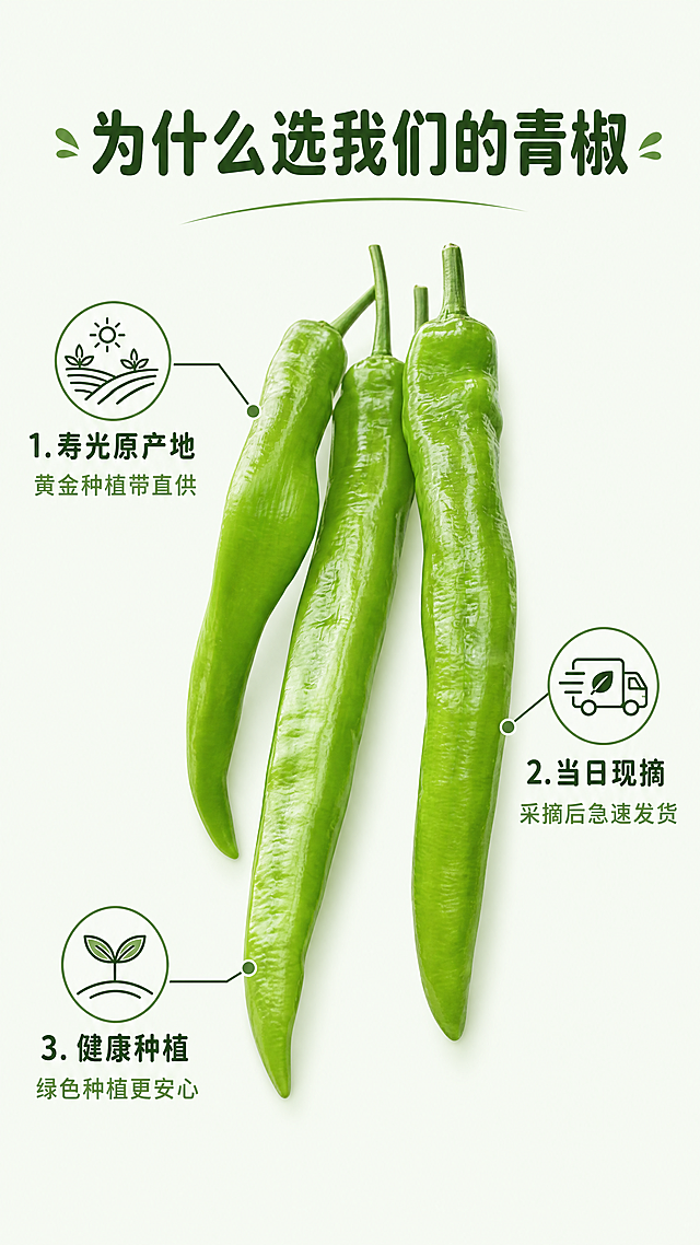 [第6屏] 核心卖点三理由拆解屏。本屏使用【图1】作为青椒主体，保持外观一致。
[氛围/风格] 清晰信息风格，突出卖点优势，一目了然。
[元素布局] 顶部是大标题，中部放置完整的新鲜青椒占画面约30%，三个卖点分别从青椒向外引线标注，每个卖点配图标和说明文字，布局清晰不拥挤。保持青椒形状色泽纹理与原图一致。
[光影质感] 均匀明亮光线，整体清晰通透，产品和文字都清晰展示，信息可读性强。
[配色色系] 全局底色：#F2F9F0（浅青绿色）；绿色线条和图标，沿用首屏配色体系，字色不超过两种。
[视角构图] 中心产品+环绕卖点的对称构图，结构清晰，卖点突出，适合手机逐点阅读。
[文字版式] 顶部居中主标题 "为什么选我们的青椒"，圆角深绿色字体。三个引线卖点：1. "寿光原产地" 说明 "黄金种植带直供"；2. "当日现摘" 说明 "采摘后急速发货"；3. "健康种植" 说明 "绿色种植更安心"。每个卖点文字大小适合手机阅读，清晰不遮挡主体。沿用首屏字体和字色规则。
[比例分辨率] 9:16竖版比例，4K分辨率，文字清晰可辨，超高清。
[负向提示词] 青椒变形，颜色偏差，文字错乱，引线不清，背景杂乱，水印，极限词