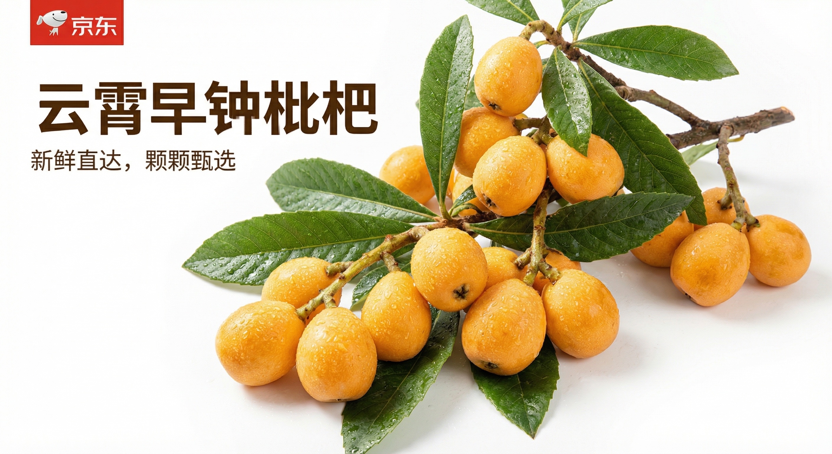 京东电商平台云霄早钟枇杷主图，重新构图，展示整颗带枝叶的新鲜云… - 图片创意预览