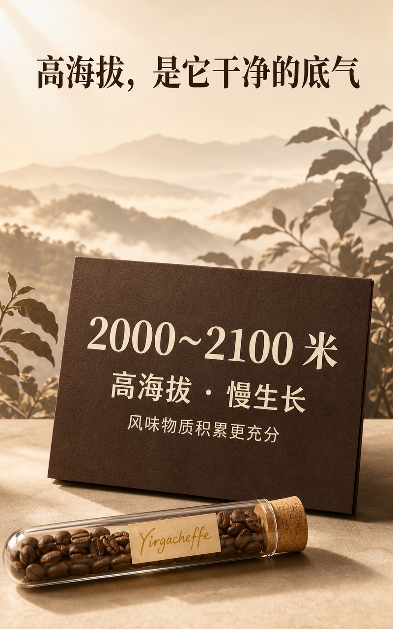 [商品] 本屏为产地海拔专张，以信息卡和意境背景为主，不出现产… - 图片创意预览