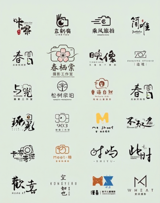 为春栖棠摄影工作室设计相机主题logo，融合春日海棠元素与相机造型，参考提供的摄影工作室logo案例的创意风格，设计兼具辨识度与简约美感的相机标识，适配摄影工作室品牌调性预览效果