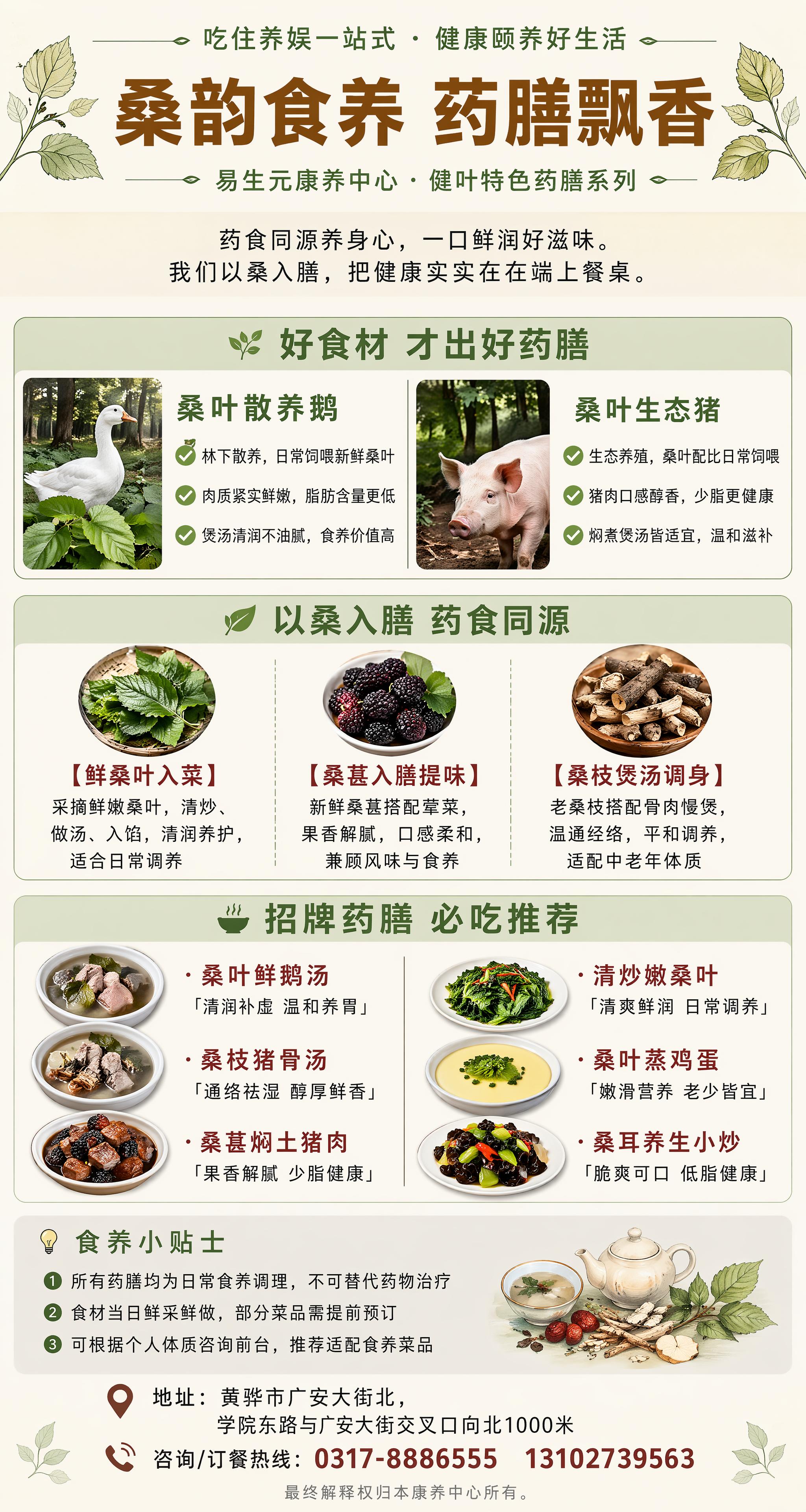 # 桑叶药膳主题海报设计全方案 **尺寸：80cm（宽）× 1… - 图片创意预览