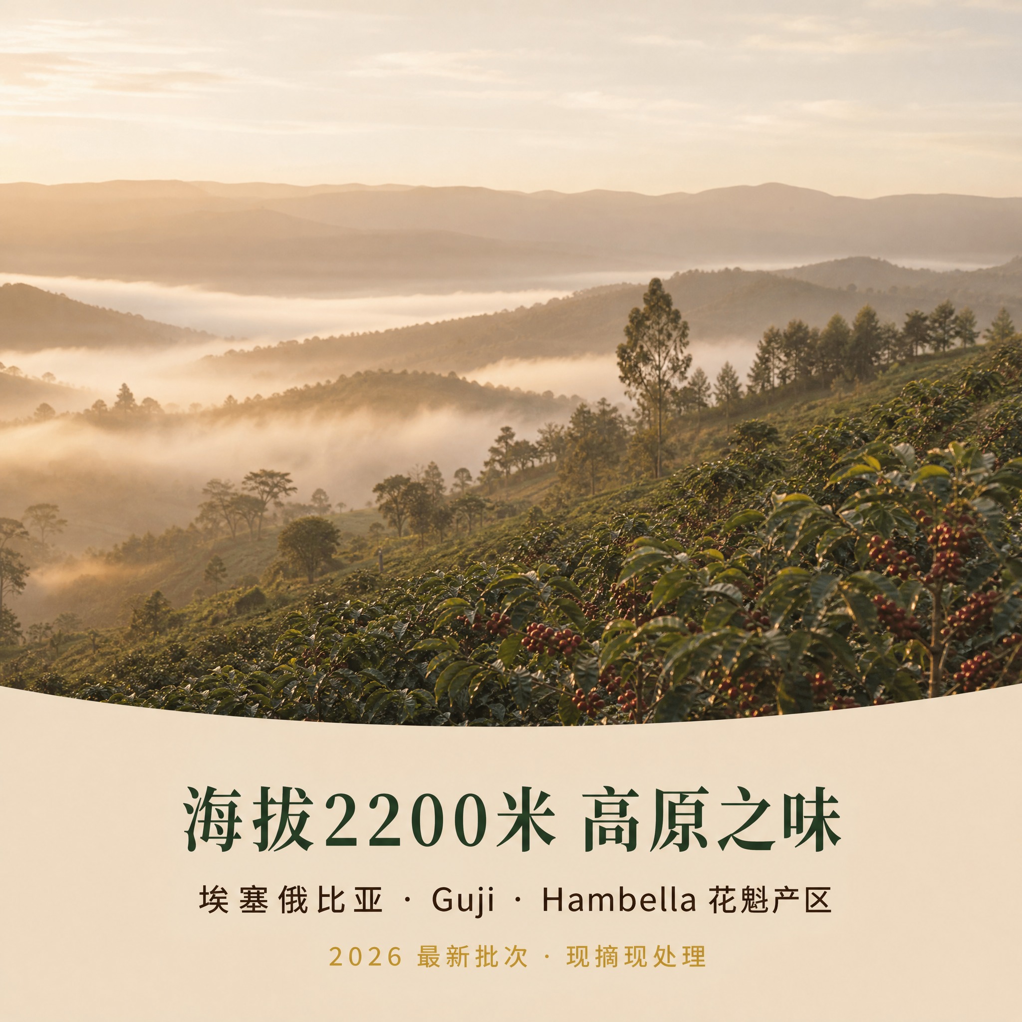 800×800 电商主图，高级纪实风景摄影，1:1比例。主体：… - 图片创意预览