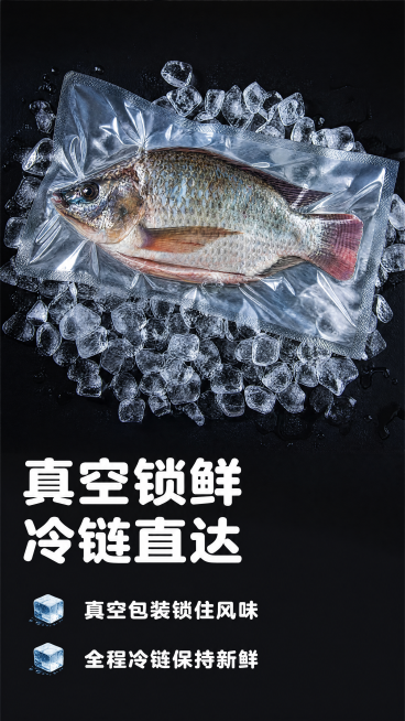 [第7屏] 包装锁鲜展示-腌制臭鲷鱼包装与保鲜细节。
[氛围/风格] 专业信任感，干净简约背景，突出包装和保鲜优势，商业摄影质感。
[元素布局] 画面上半部分展示真空包装好的整条臭鲷鱼，使用【图1】内预览效果