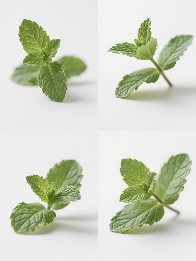极简主义风格摄影作品，四张薄荷叶特写照片呈2x2网格规整排布，每张照片展示不同形态的新鲜薄荷叶，叶片纹理清晰可见，呈现自然的绿色渐变，光影柔和立体感强，背景为纯白色，整体造型简约现代，无任何文字、logo和水印。