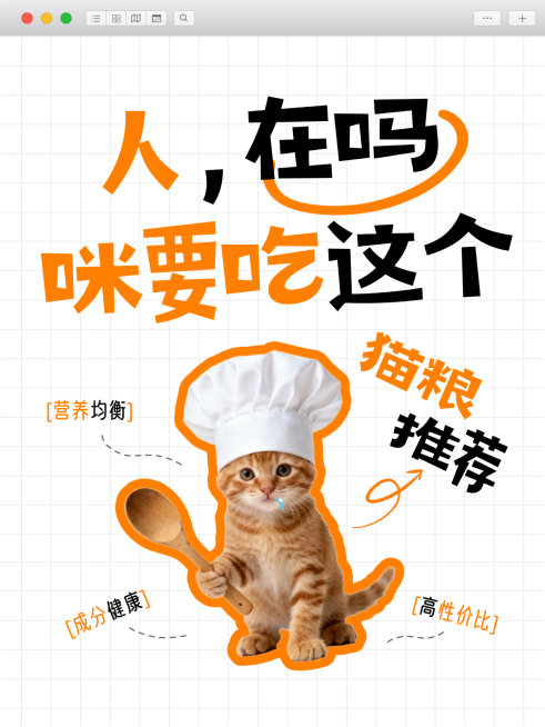 宠物食品猫粮推荐趣味感猫咪大字小红书封面预览效果