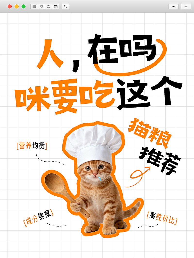 宠物食品猫粮推荐趣味感猫咪大字小红书封面