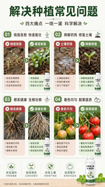 [第2屏] 种植痛点与功效解决对比，四格展示不同问题与本品解决效果。
[氛围/风格] 清晰对比说明风格，农业实用导向，真实可信。
[元素布局] 2×2四宫格排版，每格左痛点右效果，分别展示：1烧苗弱苗预览效果