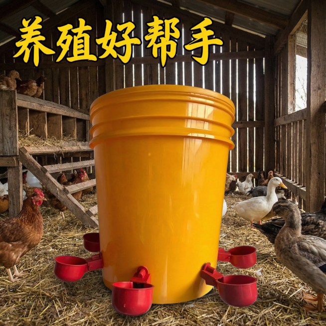 做10张800*800电商主图预览效果