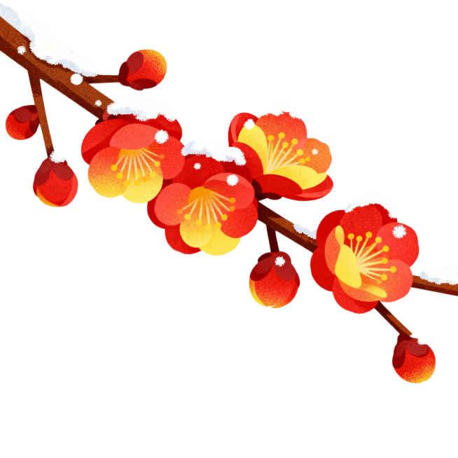 腊梅预览效果