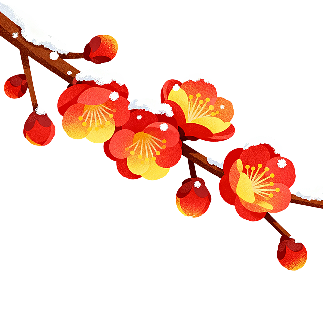 腊梅