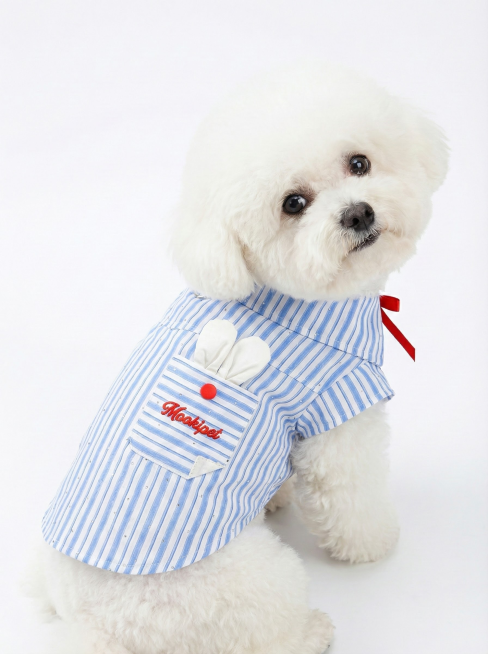 把这件衣服穿在比熊身上 用于淘宝上架图片 需要五张不同姿势的图片预览效果