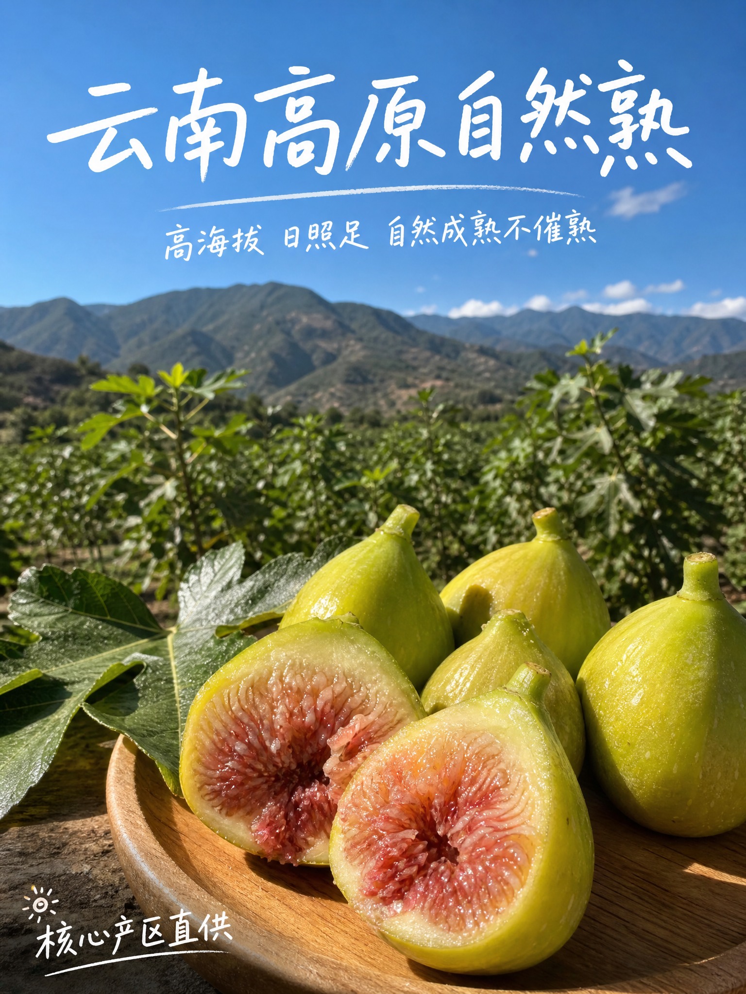 [主图-2] 云南高原自然熟无花果 产地溯源 高原自然成熟。… - 图片创意预览