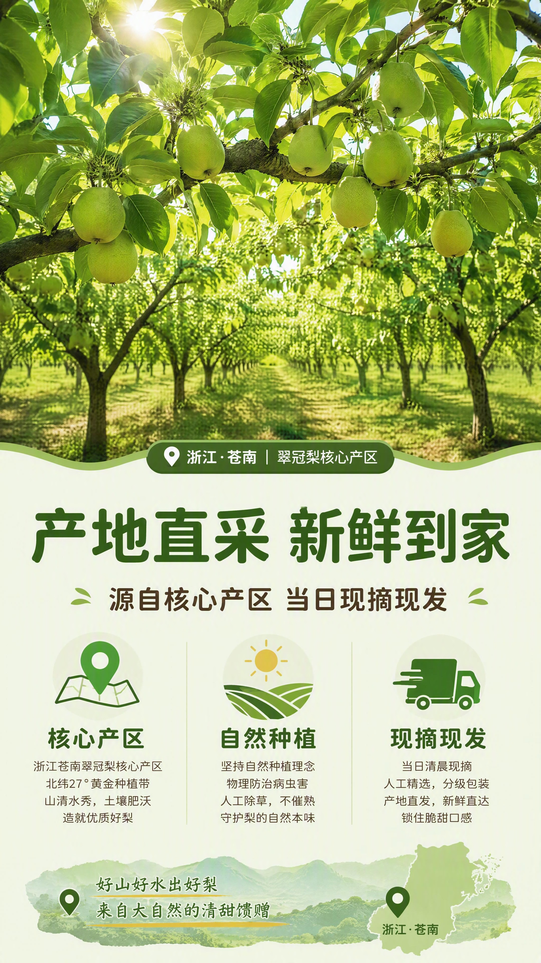 [第2张] 产地直采专页-翠冠梨果园产地叙事。本张为产地图文页… - 图片创意预览