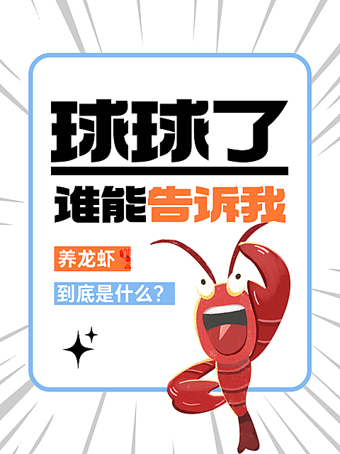 大字报养龙虾小红书封面竖版海报