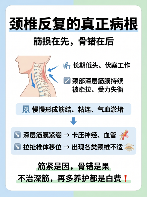 小红书图文内页，尺寸比例3:4，简约医疗科普风格，标题大字显示"颈椎反复的真正病根"，正文文字："筋损在先，骨错在后 长期低头、伏案工作 颈部深层筋膜持续被牵拉、受力失衡 慢慢形成筋结、粘连、气血淤堵预览效果