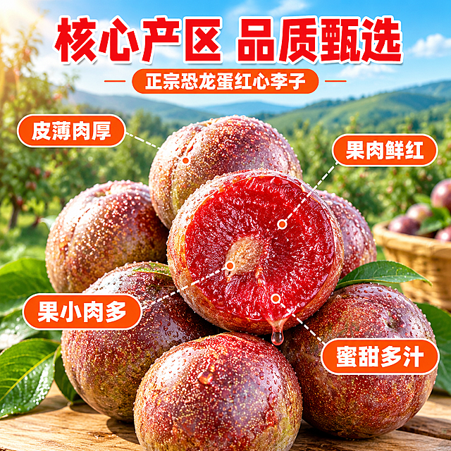 [主图-2] 核心亮点 产地溯源与品质保证
[统一基调] 抖音兴趣电商风格 强视觉冲击 高清实拍 果园自然光 食欲感满满 主标题粗黑体大字 字色鲜红配白边 辅助文案白色 强调色用橙红色 整体暖调
[画面] 画面中央偏右位置摆放几颗完整的恐龙蛋李子 其中一颗对半切开露出鲜红厚实的果肉 以切开的果实为中心 用细虚线引线连接四个部位说明 左上引线指向果皮标注"皮薄肉厚" 右上引线指向果肉标注"果肉鲜红" 左下引线指向果核区域标注"果小肉多" 右下引线指向果汁欲滴处标注"蜜甜多汁" 背景是模糊的果园山坡与蓝天 远处隐约可见成片李树 营造产地直供氛围 主体占画面约60%
[光影质感] 自然暖阳侧光 果肉纹理清晰可见 果皮水珠晶莹 商业高清摄影质感 阴影柔和
[配色] 背景蓝天绿山暖光 主标题鲜红色 引线和说明文字白色 数字强调用橙红色
[文字版式] 画面顶部居中大标题"核心产区 品质甄选" 标题下方小字"正宗恐龙蛋红心李子" 四个引线说明文字均匀分布在果实四周 说明文字字号适中 清晰可读 字体统一为黑体
[输出要求] 比例1:1 文字清晰可读 产品清晰 引线标注准确 无变形 无错字 无水印 无平台Logo