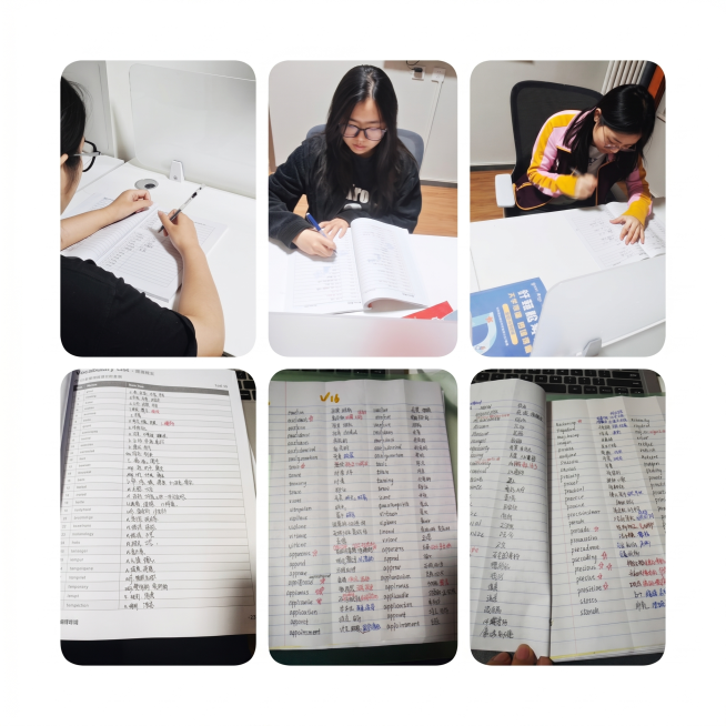 调高整张图片的整体亮度，让照片更清晰明亮，保持原构图和内容不变预览效果