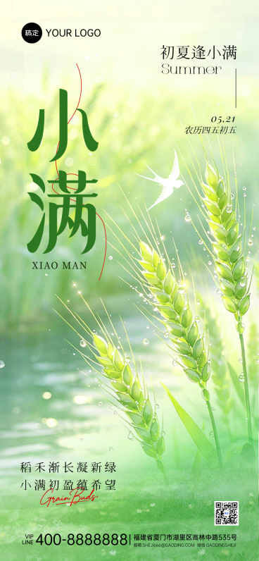 小满节气祝福清新感稻穗全屏手机海报预览效果