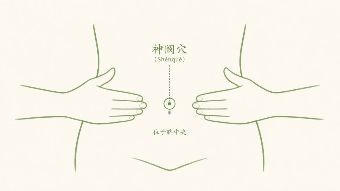 生成一张和参考图风格一致的神阙穴穴位图，米白色背景，绿色简约线条，标注出神阙穴位置，两侧双手展示穴位找法预览效果