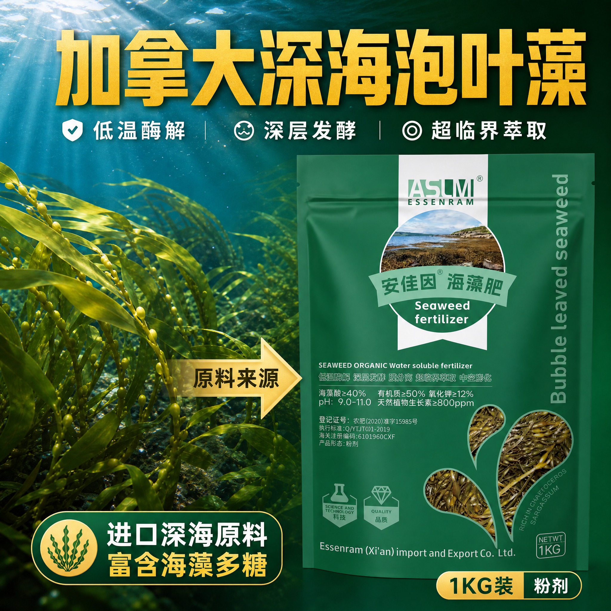 [主图-3] 安佳因海藻肥 有机水溶肥料 原料品质展示 深海泡… - 图片创意预览