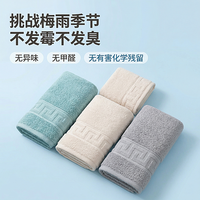毛巾防霉卖点展示，舒适简约风格，柔和自然光。主标题“挑战梅雨季节 不发霉不发臭”左上角悬浮加粗深灰色大字体，下方三个浅色胶囊标签分别标注“无异味”、“无甲醛”、“无有害化学残留”，中间展示原款浅湖蓝、米白、浅灰三条毛巾整齐平铺，完全保留原毛巾样式、颜色和缎档断档装饰细节不变，背景为浅蓝渐变干净背景，文字不遮挡产品主体，整体风格清新简约，传递安心品质感，符合淘宝主图规范。