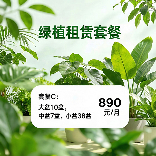 把这些图片调成淘宝主图需要的尺寸，保留图片中所有的元素，文字等