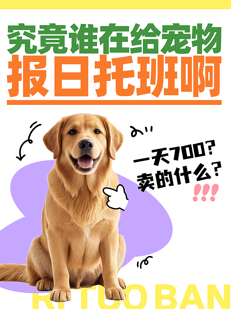 宠物日托班攻略指南知识科普小红书封面