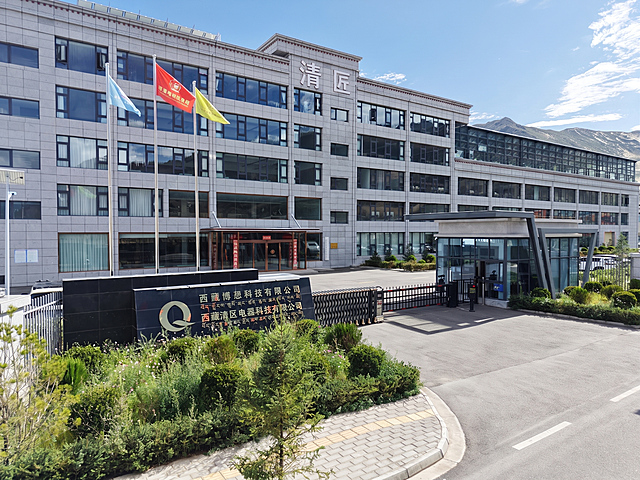去掉图片中所有悬挂在电线上、拉线上的红色小旗子和彩旗，保留三根旗杆上的旗子不变，建筑、大门、道路、绿植、天空、山体等其余所有元素保持原样不变，画面自然真实，无修改痕迹