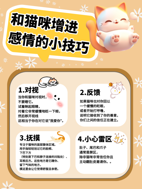 宠物攻略指南小红书配图预览效果