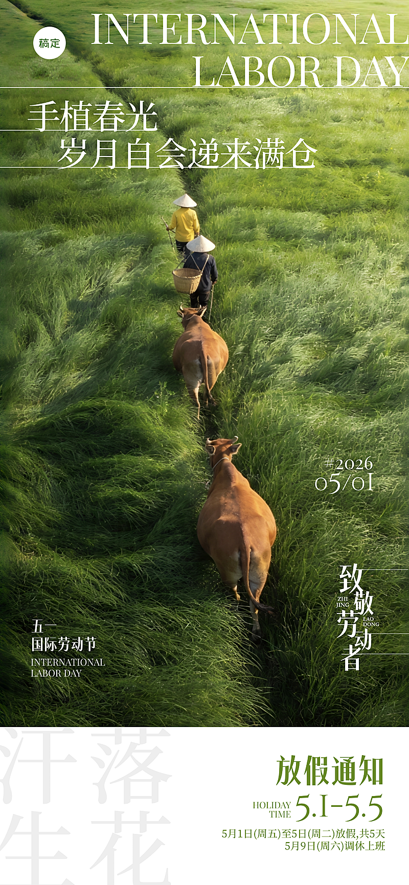 51五一劳动节放假通知简约全屏手机海报