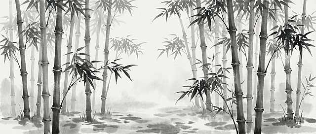 水墨竹林剪影