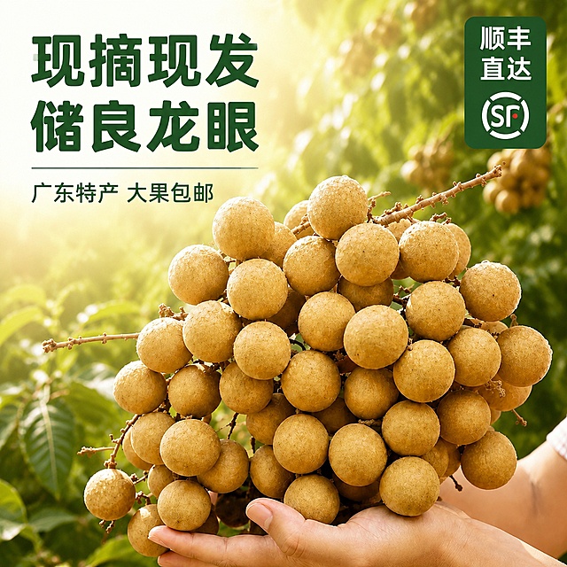 「图片1」「图片1」「图片1」「图片1」「图片1」做一下主图