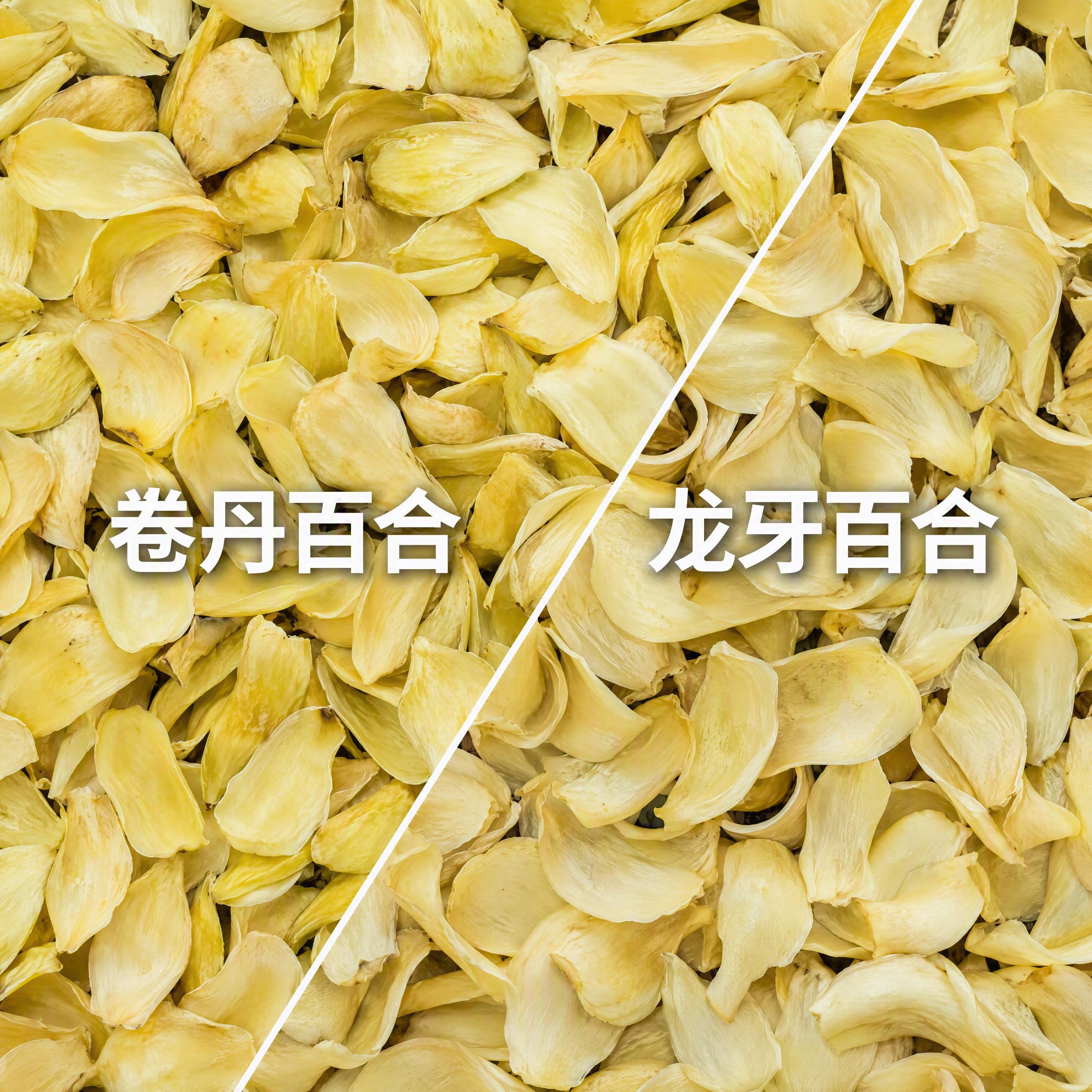1:1正方形高清图片，画面从左上角到右下角用一条对角斜线分割成… - 图片创意预览
