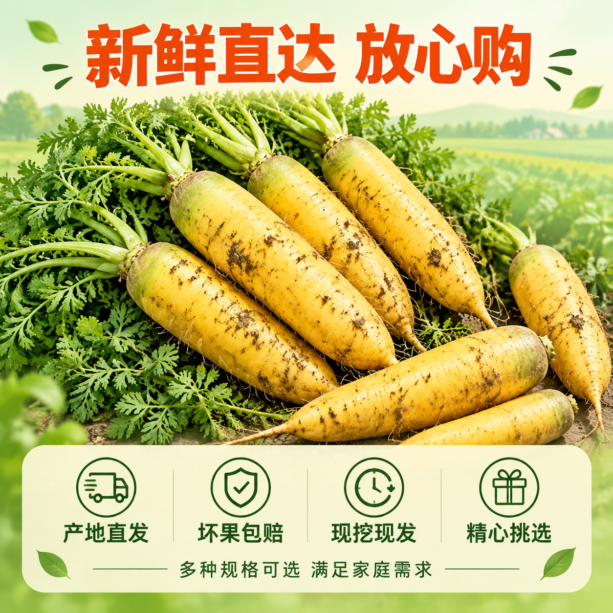 [主图-5] 服务承诺与规格，主题：新鲜直达 坏果包赔 放心购… - 图片创意预览