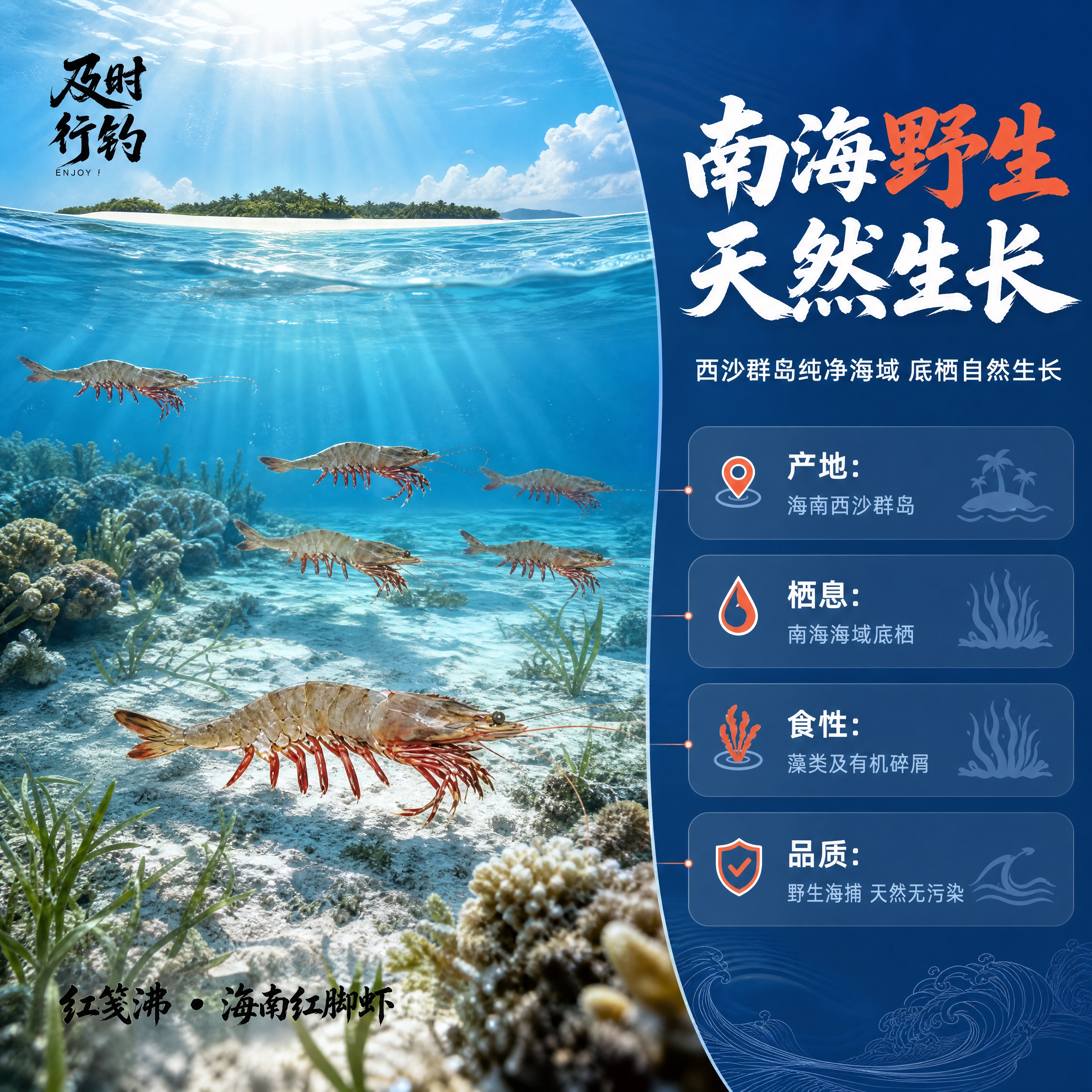 [商品] 使用【图1】海南红脚虾产品图；保留虾身棕褐条纹、红脚… - 图片创意预览