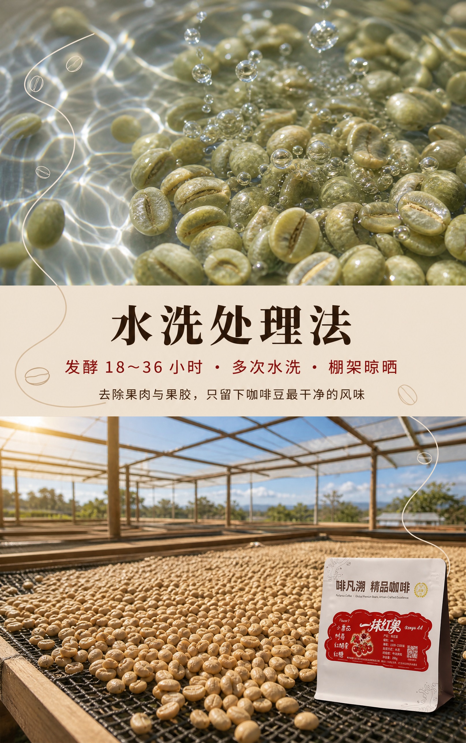 基于参考图中的咖啡产品，生成水洗处理法详情页。以生豆处理场景为… - 图片创意预览