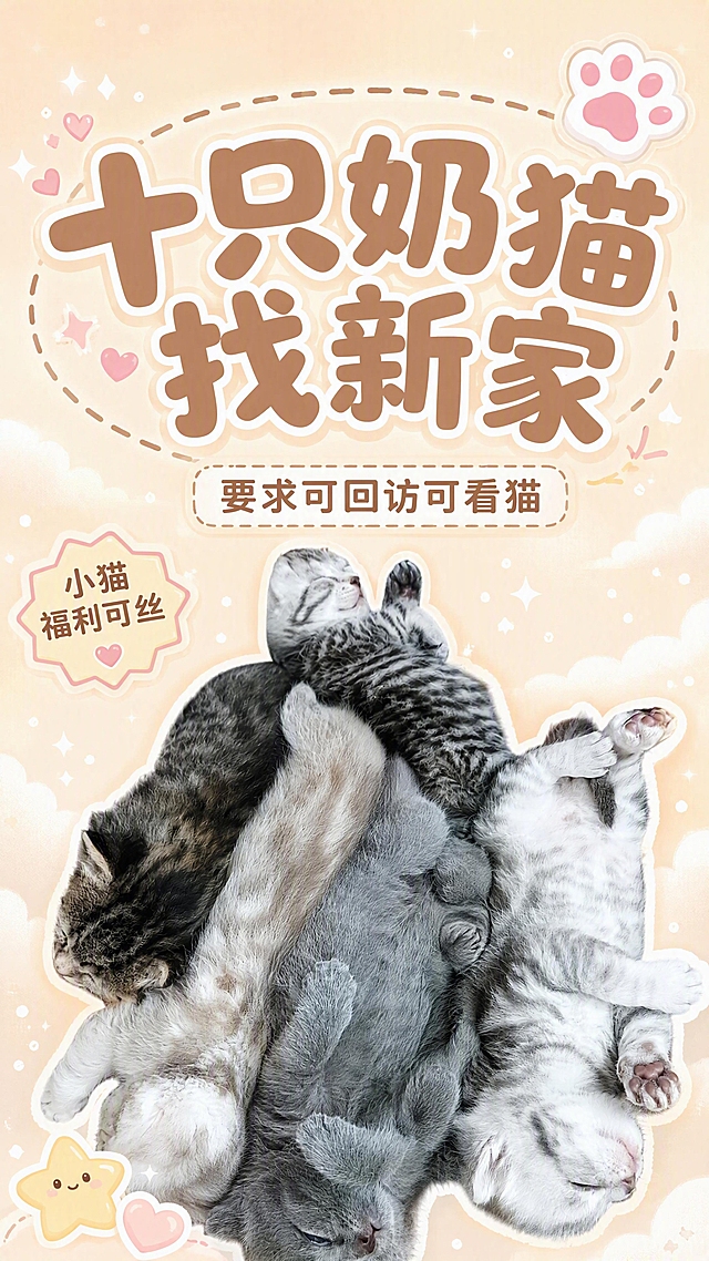抖音封面图，配图大字，ins奶油清新风，版式精美有设计感，抖音封面质感，适合信息流点击。主标题必须完整呈现且为画面视觉中心，逐字锁定：「十只奶猫找新家」。主标题字号占画面约45%视觉权重，清晰可读，不得增删改字。副标题：「要求可回访可看猫」。装饰角标：「小猫福利可丝」。背景：奶白色到浅奶茶色的柔和渐变背景，搭配淡淡的云朵和细碎星光点缀，干净通透不杂乱。配图层：用户【图1】中一群排排睡的小猫抠图后置于画面下半部分，小猫群体边缘加白色粗描边+浅米色外发光描边效果，让整群小猫从背景中柔和地凸显出来，保留每只小猫熟睡的可爱神态和不同毛色。标题排版：主标题采用圆润可爱的卡通粗体圆体字（类似手写布丁体/圆体），奶咖棕色字填充，白色粗描边+浅米色外发光效果，字与字之间略带错落排版，活泼不呆板；主标题上方加一个虚线椭圆边框装饰，线条为浅棕色；副标题在主标题下方，放在圆角矩形奶白色色块底框内，浅棕色字配奶白底，边框为浅棕色虚线。装饰：右上角1个粉白色猫爪emoji贴纸；左下角1个奶黄色星星+浅粉色小爱心组合装饰；标题旁加几个小闪光和浅粉色小爱心涂鸦元素；整体装饰层次丰富但色调统一柔和。整体氛围：软萌治愈、温柔干净、热闹可爱、高级有质感、ins风奶油色调。画质：高清细腻，信息层级清晰，主标题与背景强对比，文字完整处于安全区内不可裁切，四周留安全边距。画面比例9:16，4K。图生图：严格使用用户上传图片，【图1】= 一群排排睡小猫照片作抠图素材，保留每只小猫的可爱神态和毛发质感，添加白色描边效果，重新排版设计封面，整体色系为奶白+浅奶茶+浅粉棕的奶油莫兰迪色系。