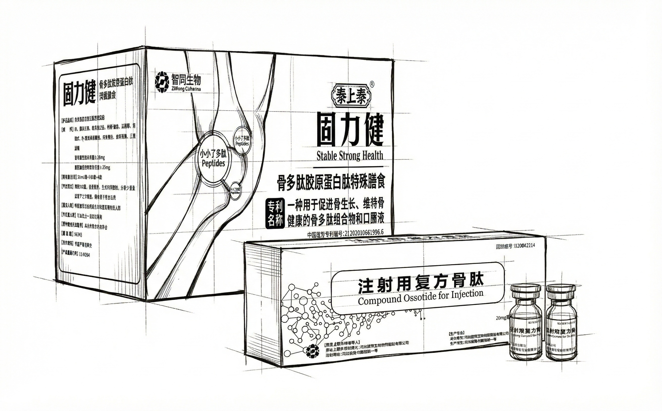 为该线稿添加辅助线，呈现出有粗有细的笔锋，风格写实 - 图片创意预览