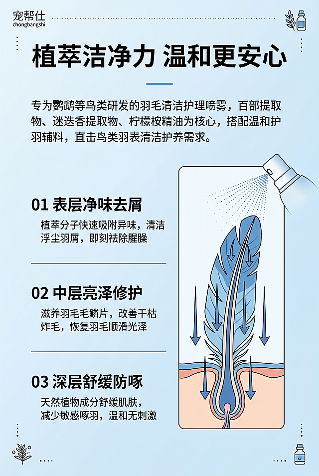 800×1200px 竖版成分原理科普详情图，左上角极小字标注「宠帮仕 chongbangshi」，浅淡浅蓝色渐变整体背景；左侧竖向三点序号文字排布，右侧竖向分层羽毛毛囊剖面扁平化插画，搭配喷雾喷头雾化粒子、向下箭头示意渗透滋养过程，角落点缀植物精华简约图标，版式逻辑适配竖版纵向阅读节奏。左右分栏版式，左文右图，自上而下递进式展示三层护养机理，逻辑清晰专业。画面顶部居中两行加粗黑色大主标题：第一行：植萃洁净力；第二行：温和更安心；标题下方蓝色短分割线，下方产品介绍段落：专为鹦鹉等鸟类研发的羽毛清洁护理喷雾，百部提取物、迷迭香提取物、柠檬桉精油为核心，搭配温和护羽辅料，直击鸟类羽表清洁护养需求。左侧从上至下三点带序号文案，每点之间横线分隔：01 表层净味去屑，小字说明：植萃分子快速吸附异味，清洁浮尘羽屑，即刻祛除腥臊；02 中层亮泽修护，小字说明：滋养羽毛毛鳞片，改善干枯炸毛，恢复羽毛顺滑光泽；03 深层舒缓防啄，小字说明：天然植物成分舒缓肌肤，减少敏感啄羽，温和无刺激。浅蓝柔和底色，扁平化插画采用蓝色、肉肤色分层配色，线条干净简约，专业日化科普视觉。原理科普详情页，解释护养起效逻辑，增强产品专业可信度。反向提示词：羽毛分层结构错乱比例失调、喷雾图案失真、文字排版歪斜、配色花哨刺眼、实拍图混搭违和、阴影杂乱厚重、品牌文字缺失、出现驱虫相关文案